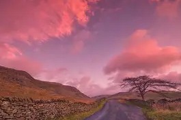 米乐APP下载-关于纽伦堡在客场带走一分，延续不败状态的信息