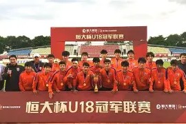 米乐APP下载-法兰克福新援表现出色，球队整体实力有所提升